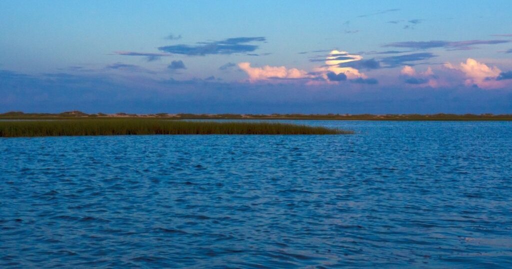 masonboro island in north carolina