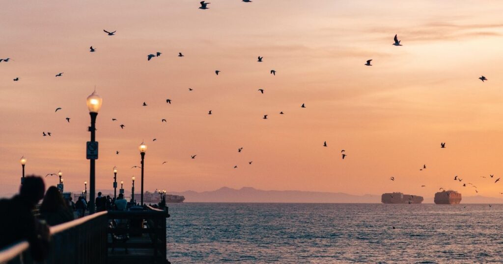 the sunset at seal beach with birds overhead