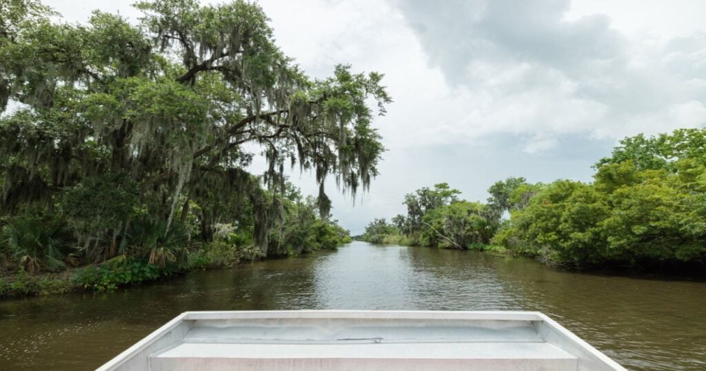 Swamp tour from Airboat in New Orleans