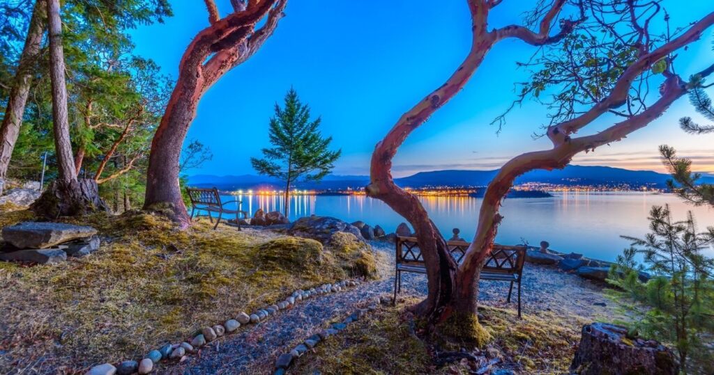 a lake at dusk in Nanaimo, canada