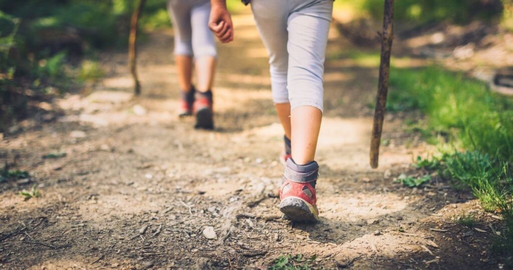 people hiking on a trail