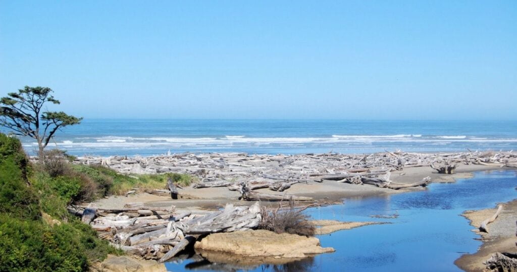 Olympic National Park coastal landscape