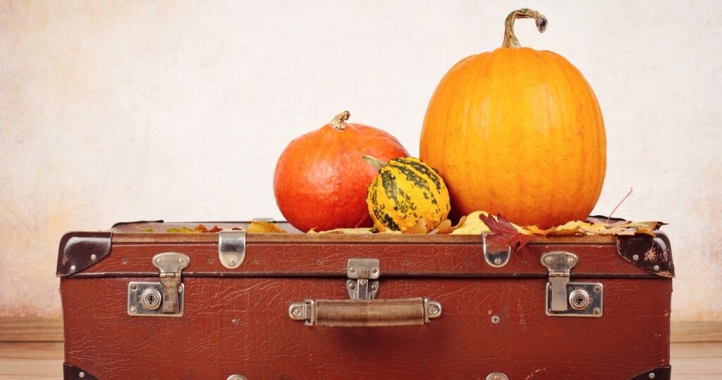 Vintage suitcase and pumpkins