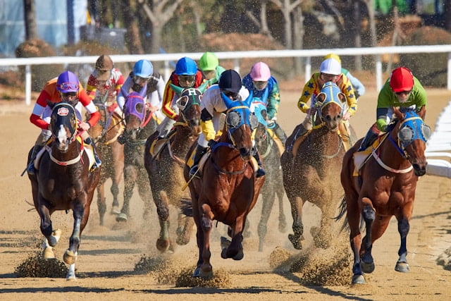 corrida cavalo